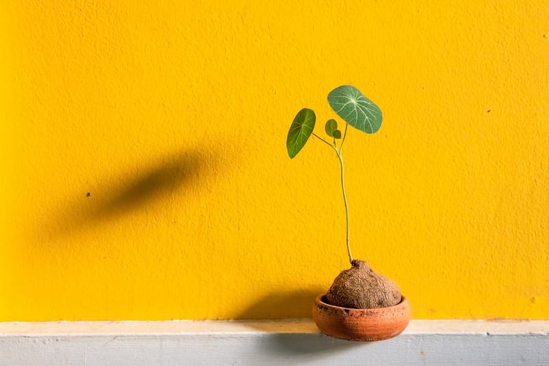 Vertical Plant Stand